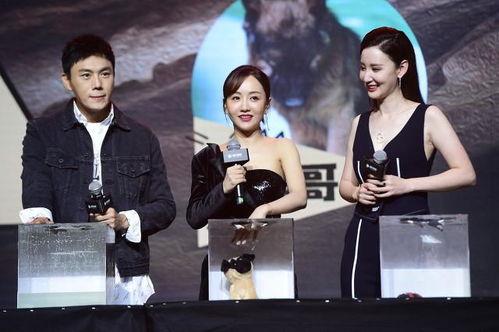 娱乐圈吃瓜合集最新 第2张 娱乐圈吃瓜合集最新 第2张